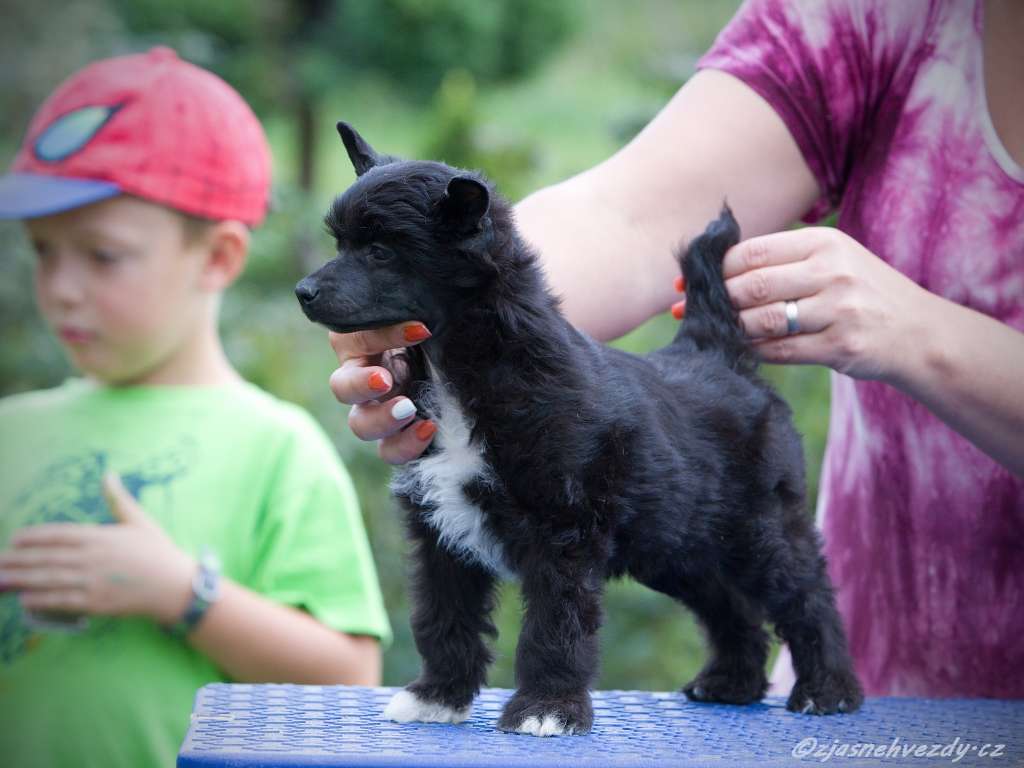 Taiga z Jasne hvezdy