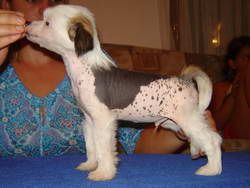 Stars at Sea Coconut Kiss