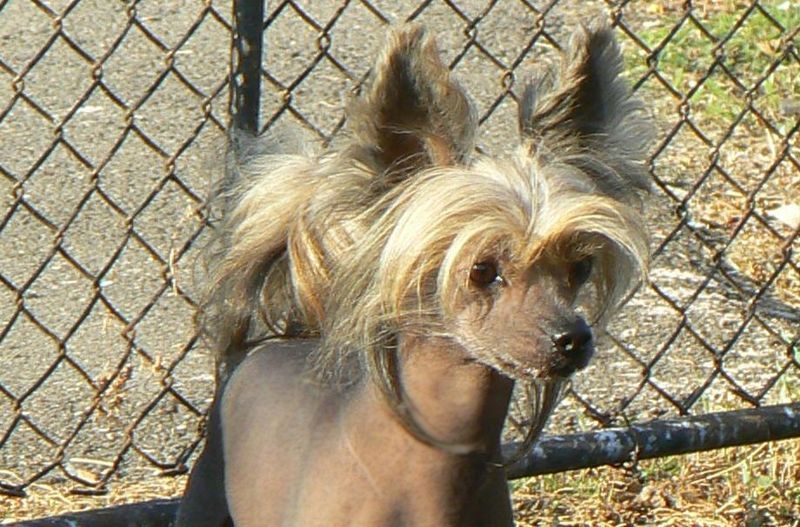 Key Of My Heart O'vamos