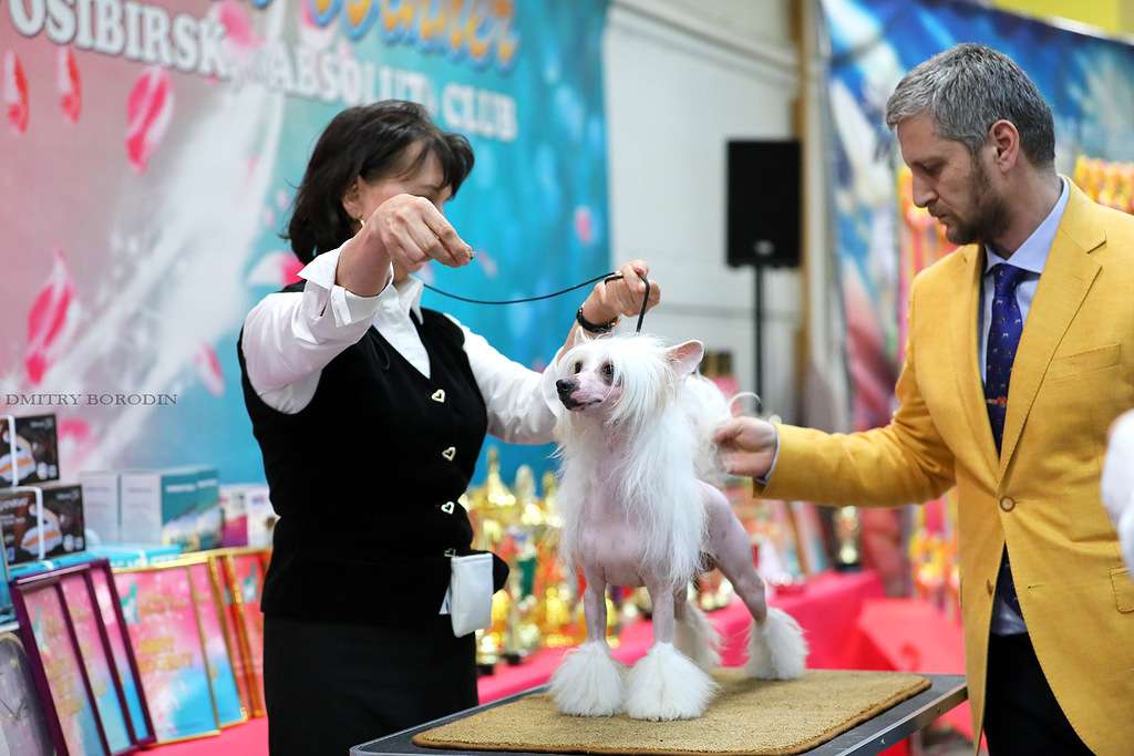 Famrus Man With a Mission