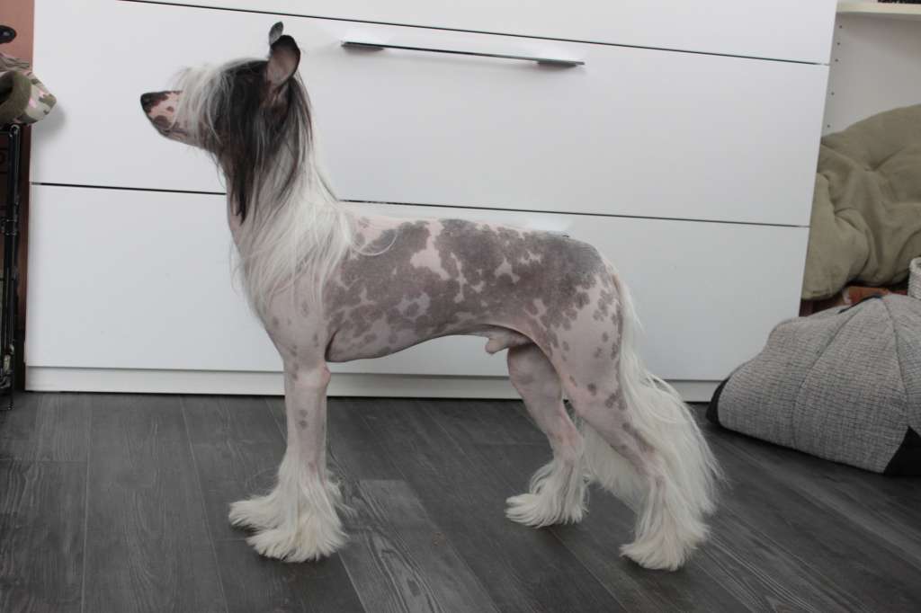 Allegranden Control Alt Delete