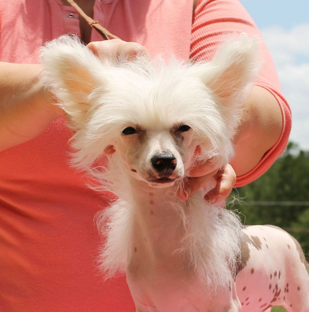 Dasha's Pretty Fly For A White Guy