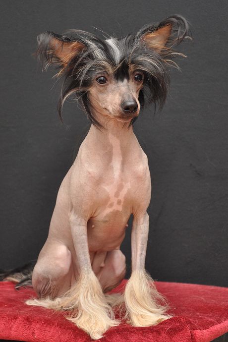 Picture