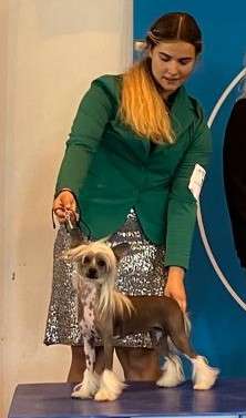 Stars at Sea Wise and Otherwise