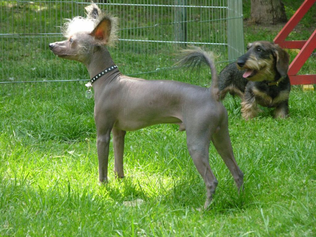 Asso Avanti Di Rabozi