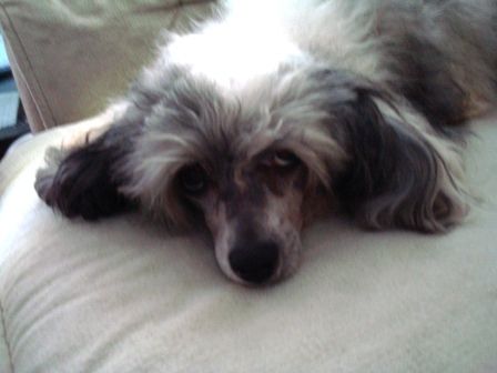 Kyokushin's Almost Unreal