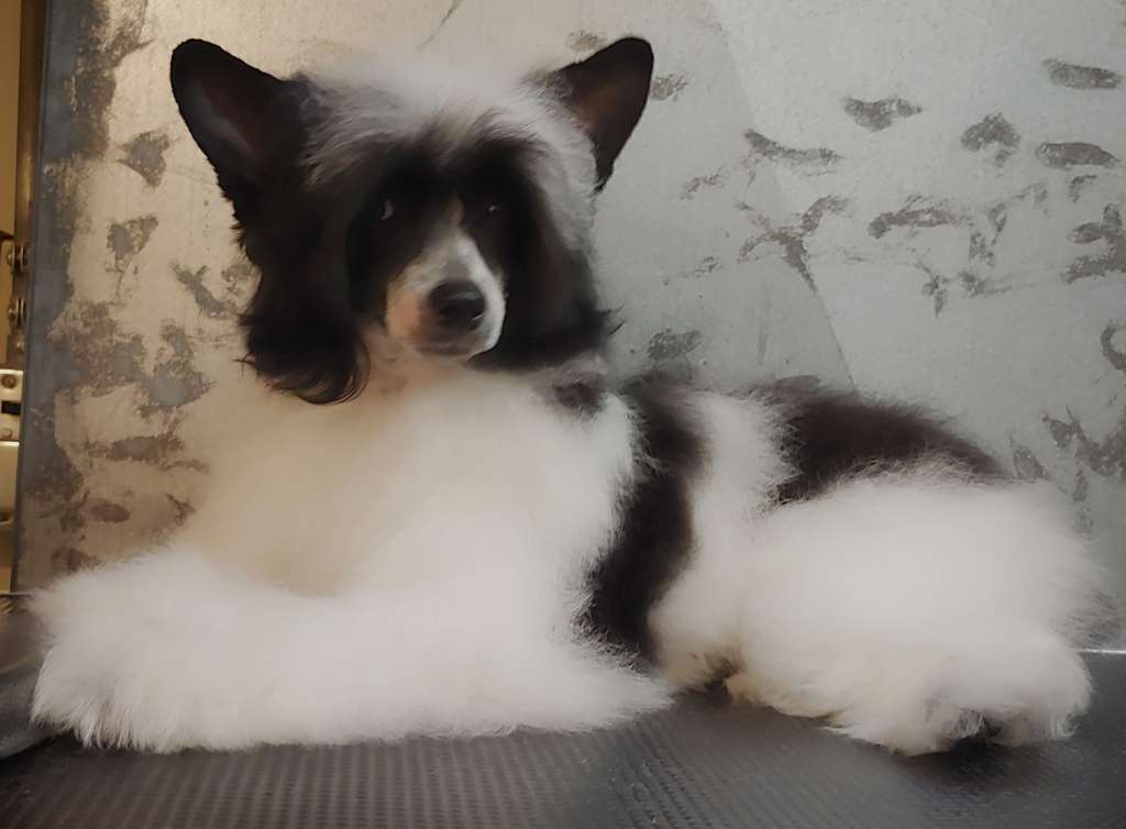 NV and Valour's Forever and Day