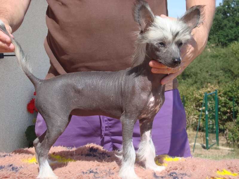 Garance Du Coeur Des Tenebres