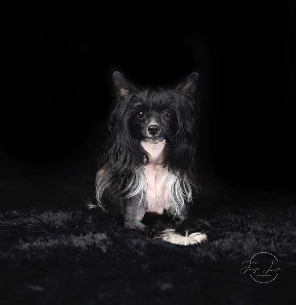 Gracieux Revel In Romance