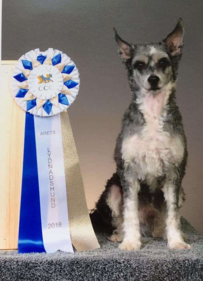 Sirocco Decline Of The Saxon Empire