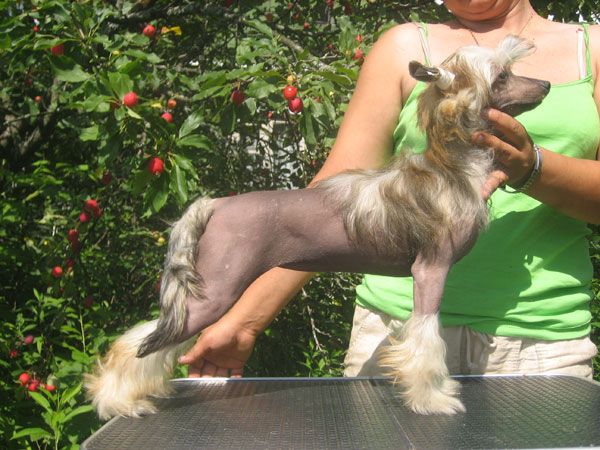 La Vendjes Ya Super Star