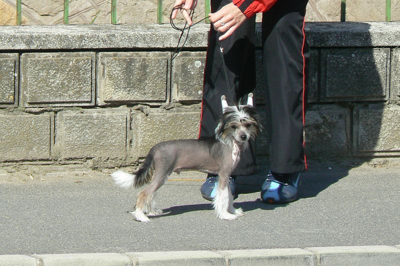 Picture