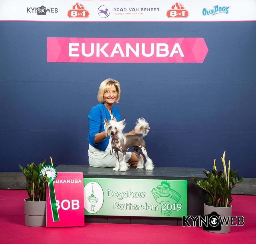 Romy of the loving dols