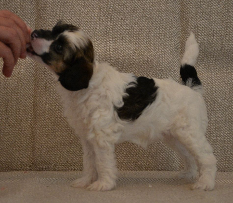 Black-Diva's Just A Dream