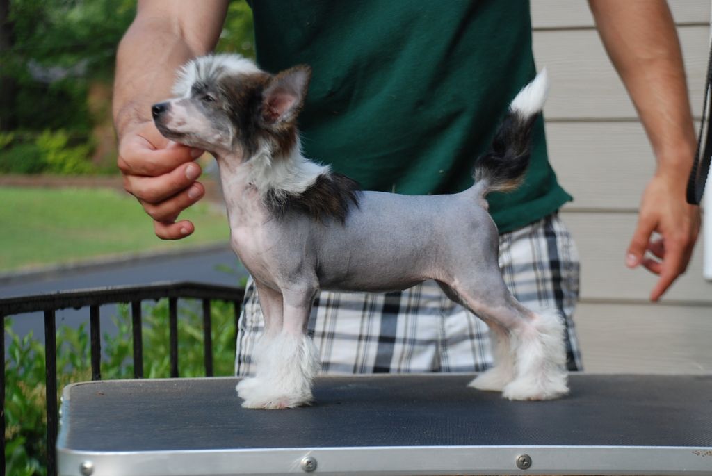 Olivera's Don't Hate Me Cuz I'm Beautiful HL