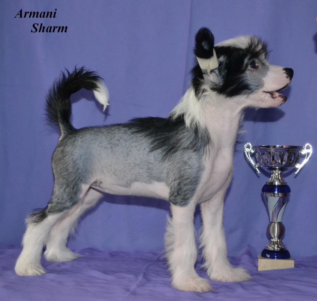 Armani Sharm Blackberry  Kiss