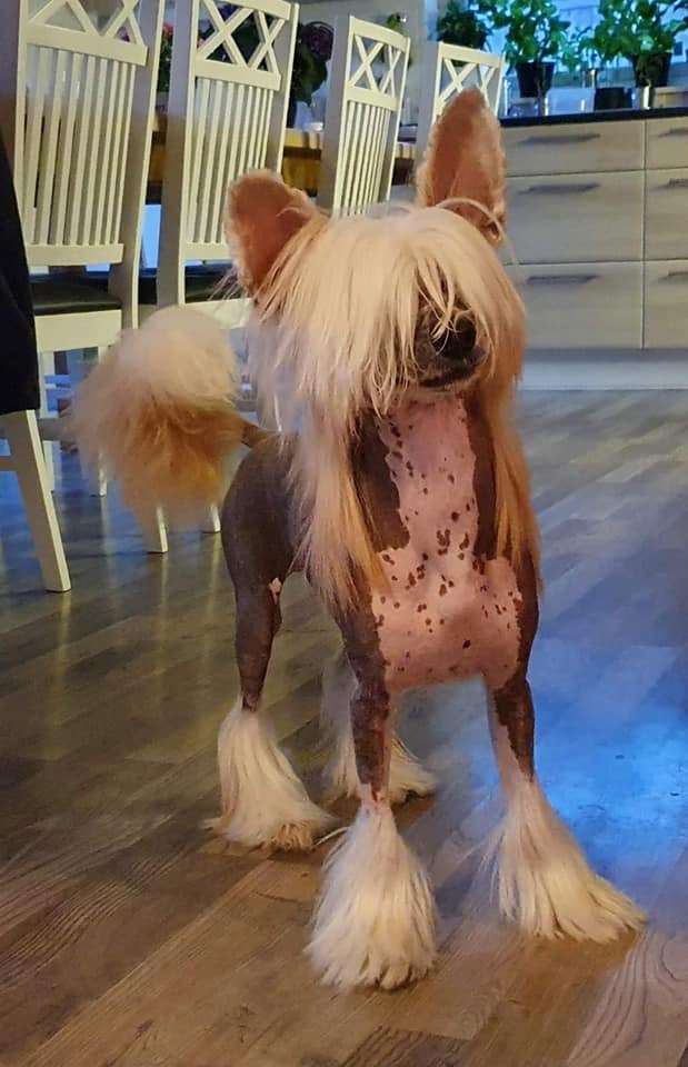 Ridgecrest's From Cash To Swish