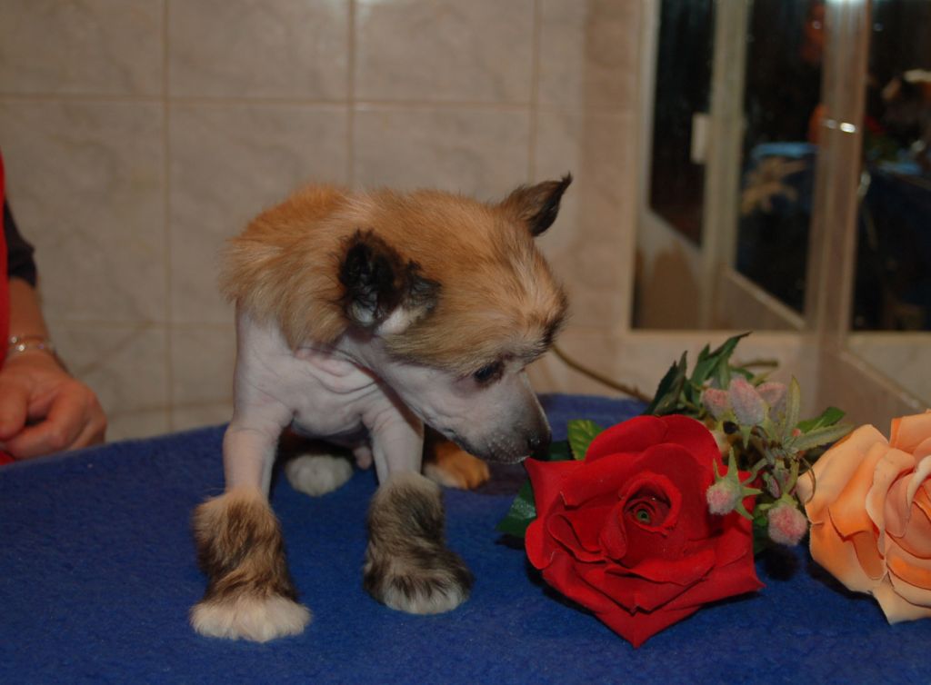 Picture