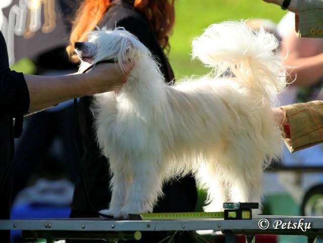 Giandujan Earth Wind And Fire