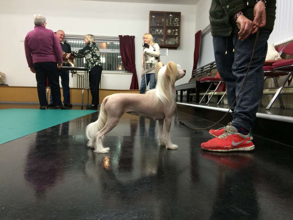 Myglee's Never Been Kissed