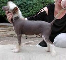 Frascati De GabriTho