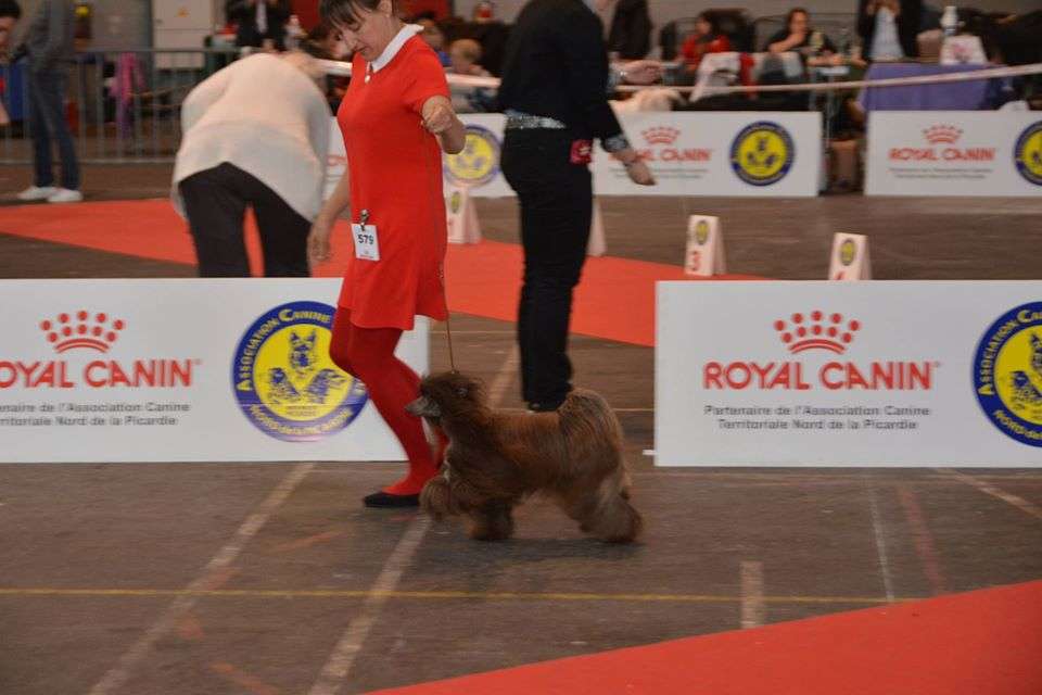 Némésis de L'Antre de Hôkô