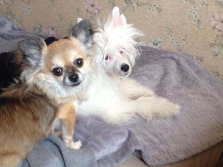 Favorite Picture
