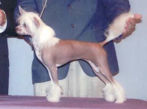 Bayshore's Caught In The Act