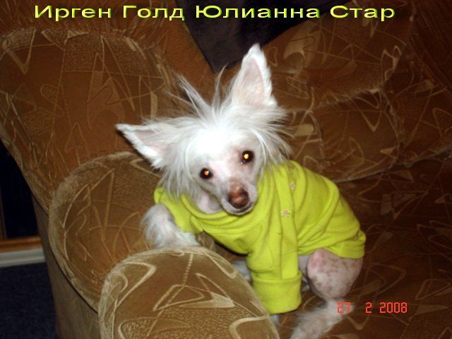 Irgen Gold Ulianna Star