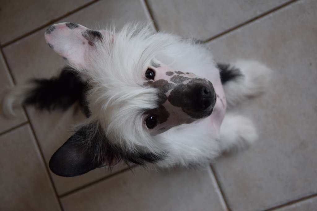 Ugo Boss Little Exotic Star