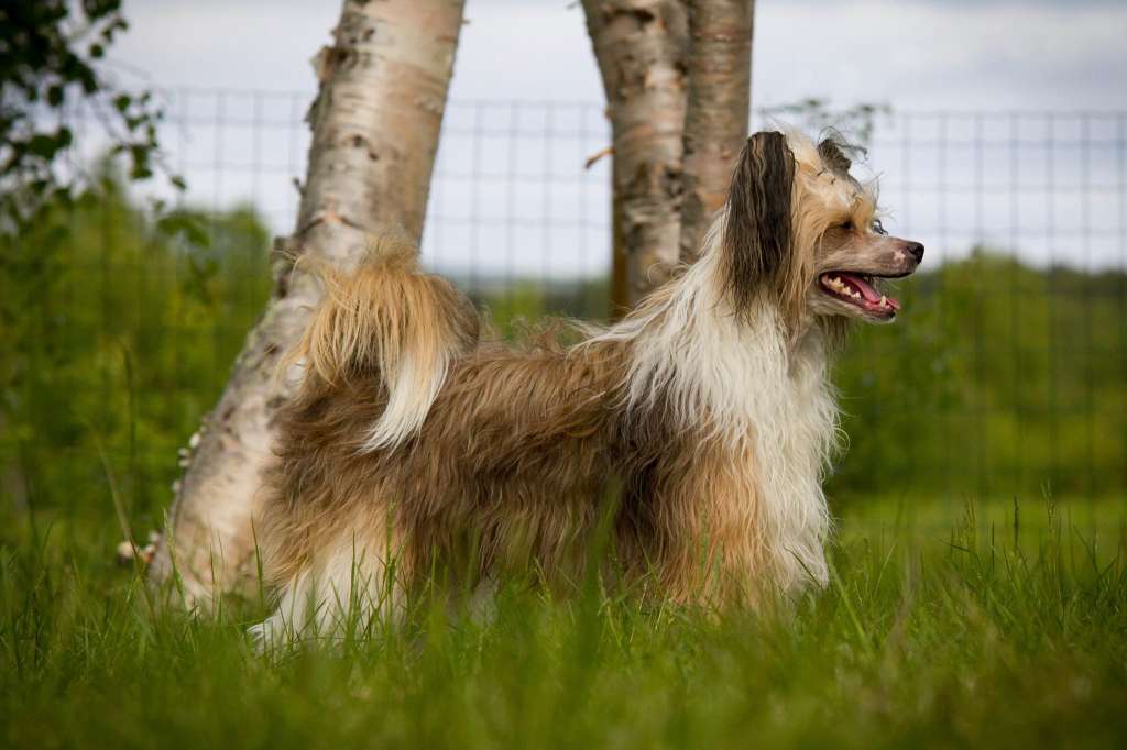 Reject's Twelvth Hour the Fourth