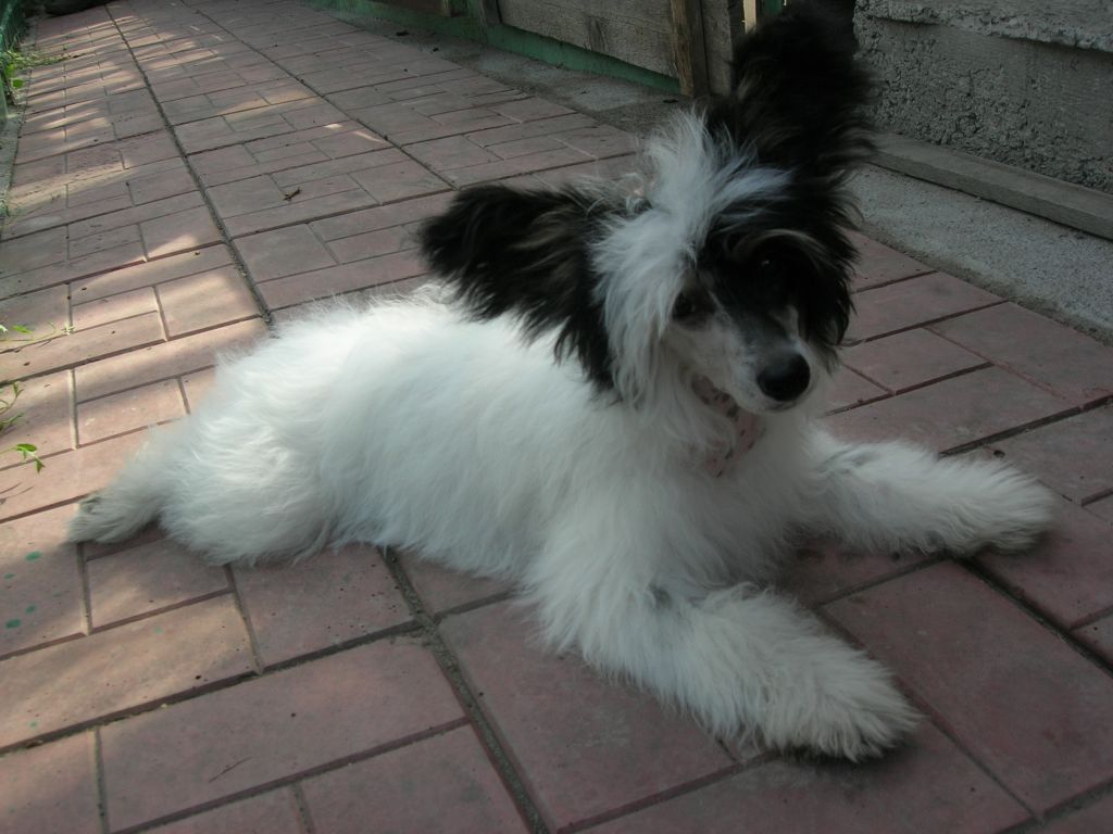 Rovanni Djekattolo Beatrice Olevander