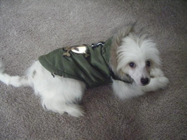 Show'NTells Jacks is king at ziggies