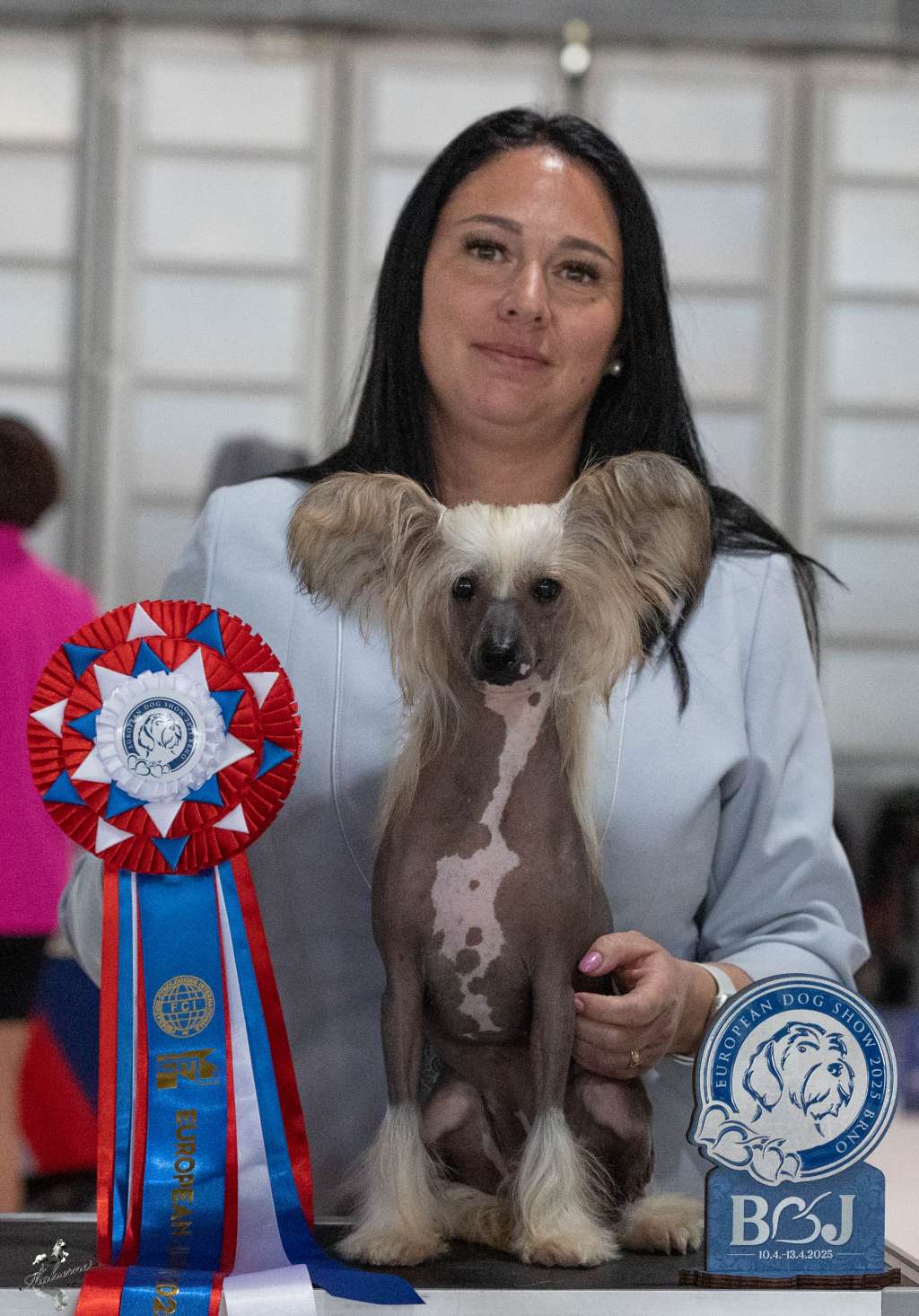 Looney Tunes Aschabey