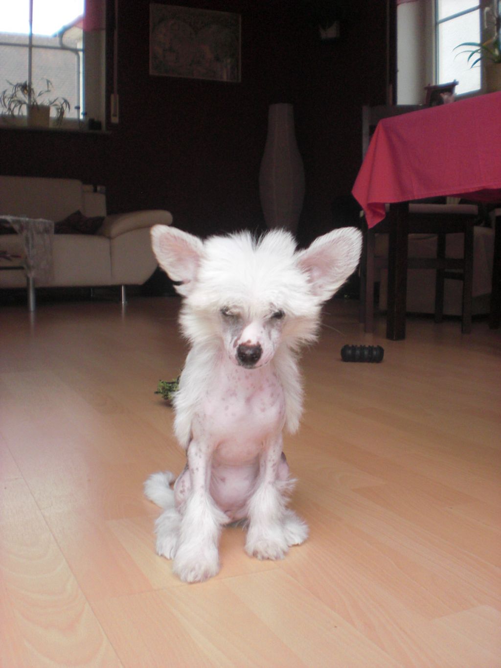 Picture