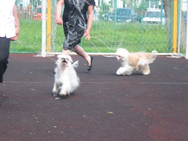 Picture