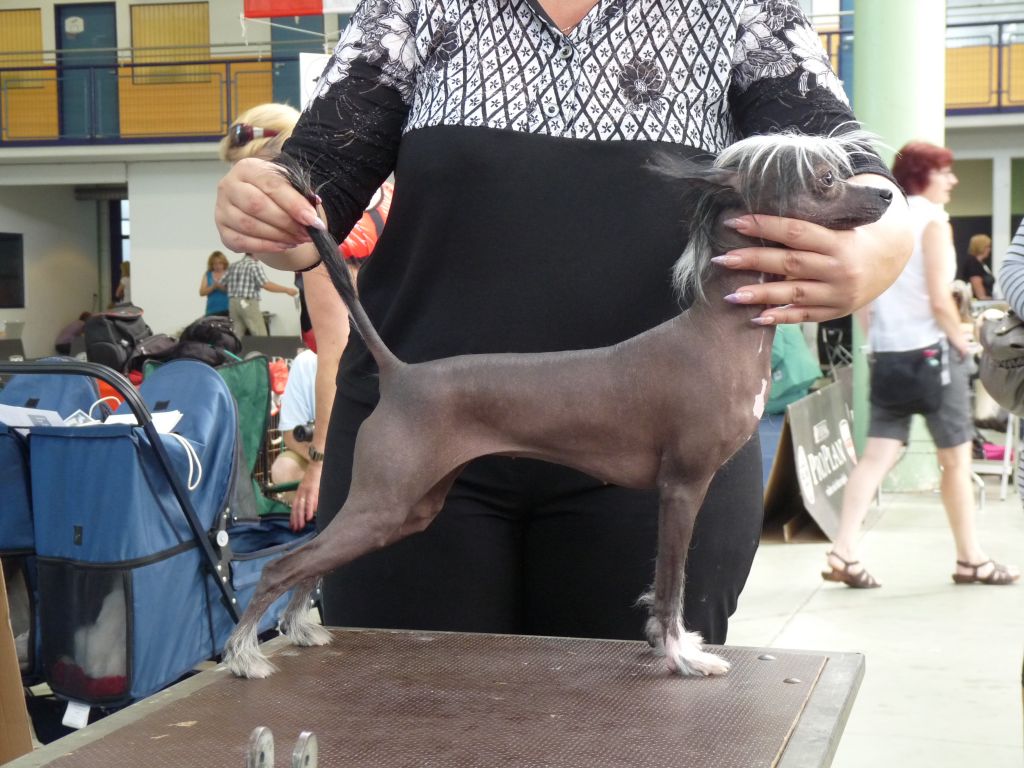 Fundoklia-völgyi Kaszanics Gretchen