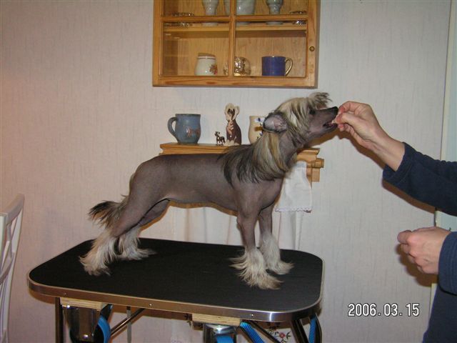 Picture
