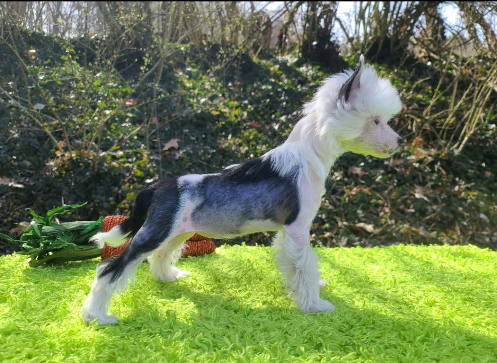 Long Haul's O'me-gawd Look At Her But