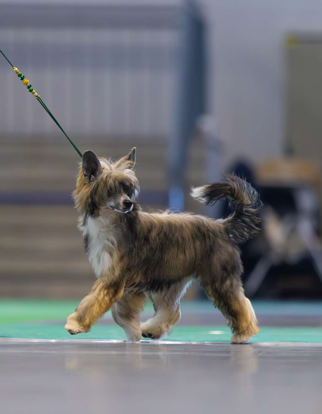 Omg I Am Super Star Modern Family