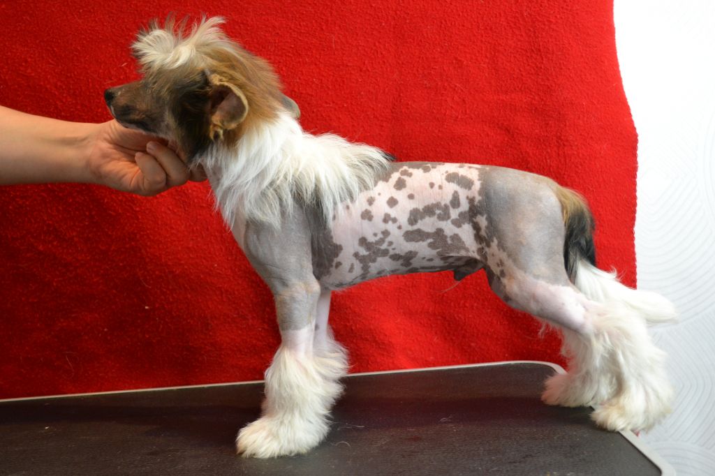 Rus Lorens Second To None