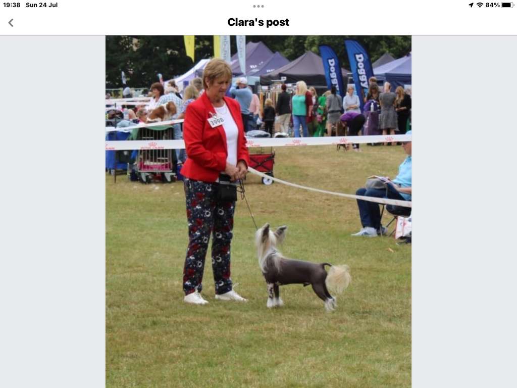 Birchvolgyi IndiGo Malverne