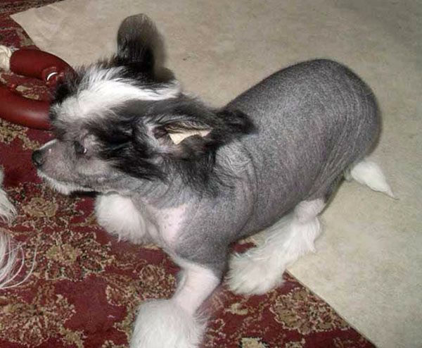 Kenmilleven Quartz Frost