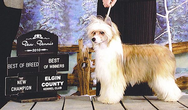 Legends Start With A Bang