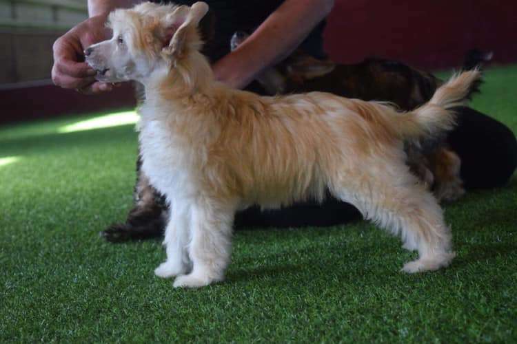 Black-Diva's My Own Way