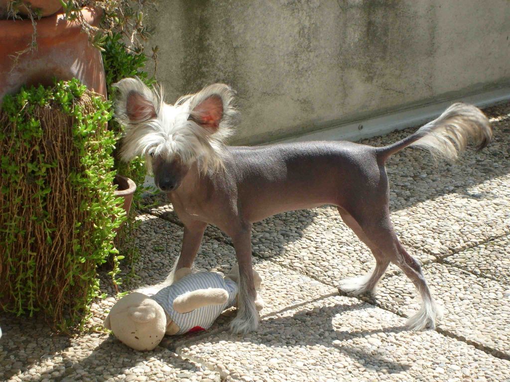 Taï Mandchou's Especially Yours