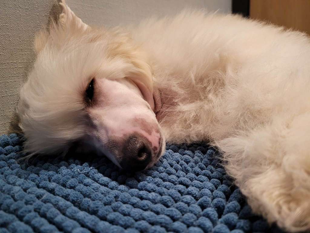 Vodka Sweet love of Mine