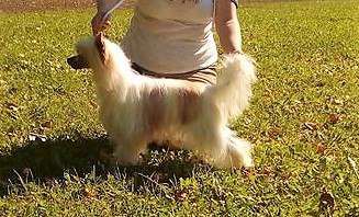 Grand Sunlife Gabriel Macht