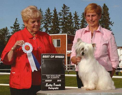 Can GRCH WillowGlyn Illuminati