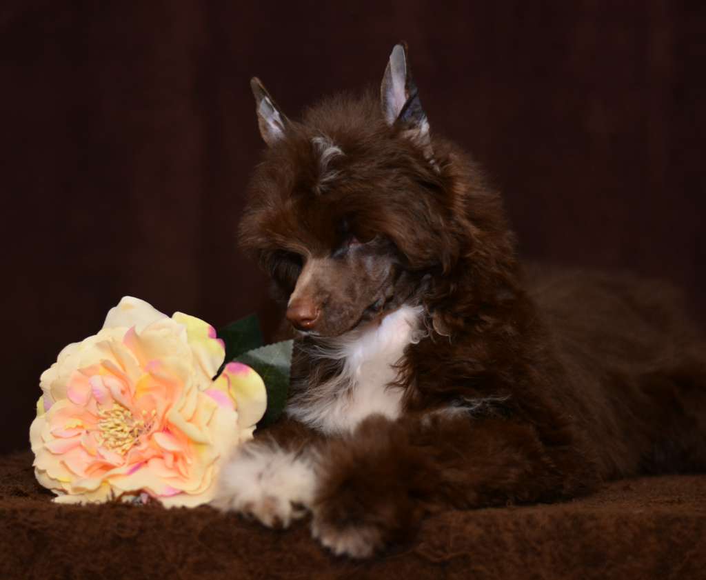 Hitline Ltd Valencia